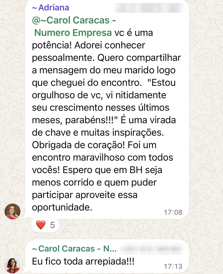 Mensagem da Adriana sobre o encontro presencial e resposta da Carol